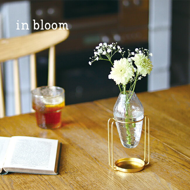 in bloom ֥롼 ɥꥵ륬饹١[饹      襤  ɥ饤...