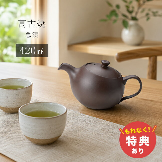 【特典あり】憩 ICOI ポット 420ml[急須 萬古焼 日本製 可愛い モダン おしゃれ 洗...