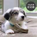 ベネボーン パピー ウィッシュボーン ベーコン スモール[子犬 噛む おもちゃ 14kg 未満 犬 カミカミ 噛み癖 遊ぶ グッズ 噛むおもちゃ 仔犬 子犬 骨...