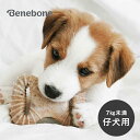 ベネボーン 2パック パピー ベーコン ウィッシュボーン&デンタルチュー[子犬 噛む おもちゃ 犬 7kg 未満 いぬ カミカミ 噛み癖 遊ぶ グッズ 噛むおも...