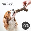 ベネボーン メープルスティック ミディアム[成犬 中型犬 大型犬 噛む おもちゃ 犬 27kg 未満 いぬ カミカミ 噛み癖 遊ぶ グッズ 噛むおもちゃ 犬用 ...