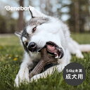 ベネボーン メープルスティック ジャイアント[成犬 大型犬 超大型犬 噛む おもちゃ 犬 54kg 未満 いぬ カミカミ 噛み癖 遊ぶ グッズ 噛むおもちゃ 犬...