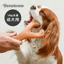 ベネボーン ウィッシュボーン スモール[成犬 小型犬 中型犬 噛む おもちゃ 犬 14kg 未満 いぬ カミカミ 噛み癖 遊ぶ グッズ 噛むおもちゃ 犬用 ペッ...