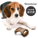 ベネボーン デンタルチュー スモール[成犬 小型犬 中型犬 噛む おもちゃ 犬 14kg 未満 いぬ カミカミ 噛み癖 遊ぶ グッズ 噛むおもちゃ 犬用 ペット...