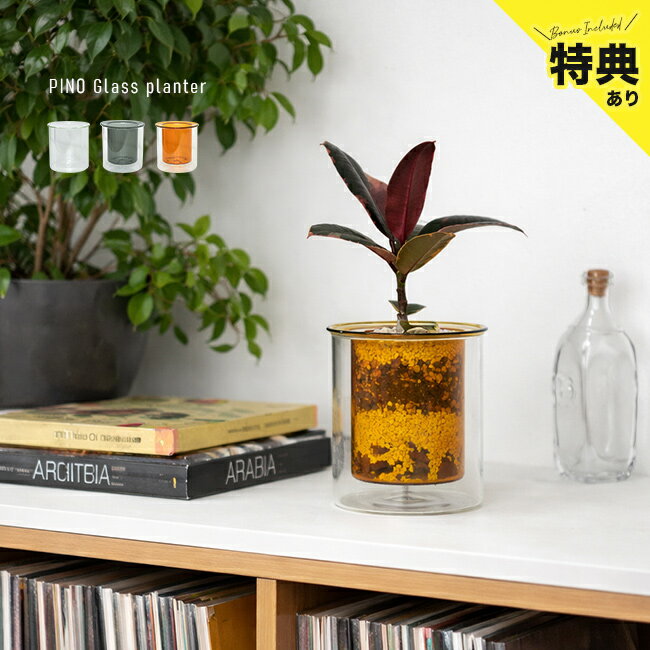 Rakuten - 【特典あり】PINO ピノ ガラスプランター[フラワーベース ガラス 円柱 おしゃれ プランター 透明 クリア スモーク 鉢 ポット シンプル 北欧 風 プランターカバー 植木鉢 3号 小さい 透明ポット ガラスプランター 花瓶 置き物 スタンド]