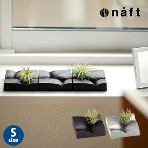 naft プランツベース nomichi 野みち S[かわいい(小さい)植物が付いた置物で部屋に癒し ミニサイズの観葉植物(エアプランツ)は育てやすいので卓上のインテリアやプチギフトにもおすすめ]