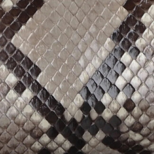 ����ŵ����۳������� �ܳץѥ����� ���޸�����[�س� ���� ��ǥ����� ��� �إӳ� �ѥ����� �ѥ������ �ѥ�������� ���޸� ���ޤ������� �ƻ� ���ޤ��� �س׺��� �Ɀ ������ �� �ܳ� ������ �������]