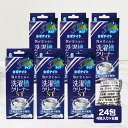 カビナイト 泡が立たない洗濯槽クリーナー ST 50g×4包入《6セット》[洗濯槽クリーナー 洗濯槽掃除 洗たく槽 カビ 掃除 洗浄 カビ防止 洗浄剤 除菌 消...