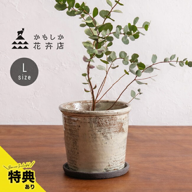 樂天商城 - 【特典あり】かもしか花卉店 かもしかポット＆ソーサー L[植木鉢 受け皿 セット 受け皿付き 丸 穴 あき 土物 プランター 中鉢 おしゃれ 陶器鉢 かわいい 受け皿セット 陶器 焼き物 屋外 室内 粉引き 白 粉引 ナチュラル 自然 素朴 インテリア 植物]