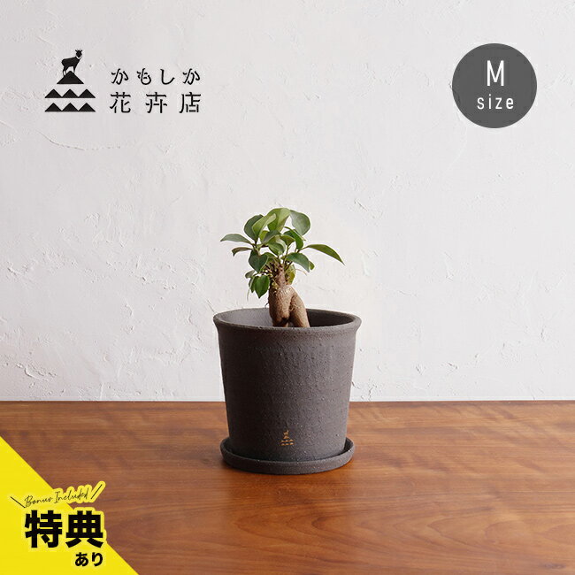 【特典あり】かもしか花卉店 かもしかポット＆ソーサー M 黒土[植木鉢 受け皿 セット 4.5号 受け皿付き 丸 穴 あき 土物 プランター 小型 おしゃれ 陶器鉢 かわいい 小さめ 受け皿セット 陶器 焼き物 屋外 室内 ナチュラル 自然 素朴 インテリア]