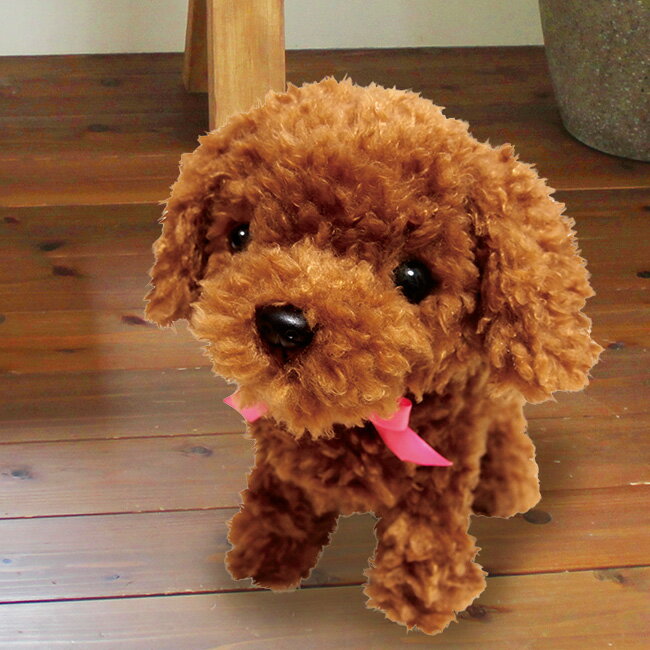 元気な仔犬トイプードルのショコラちゃん[犬 ぬいぐるみ 動物 動く 音声認識 人形 おもちゃ トイ 音 センサー 反応 アクション おしゃべり しゃべる ペット ギフト プレゼント 子ども こども 誕生日 男の子 女の子 敬老の日]