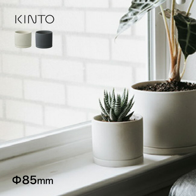 楽天市場】多肉植物 2号の通販