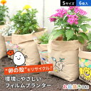 teine home フィルムプランター たまはな Sサイズ 6枚セット[プランター おしゃれ 屋外 ガーデニング かわいい 軽量 菜園プランター 野菜 栽培 ...