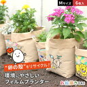 teine home フィルムプランター たまはな Mサイズ 6枚セット[プランター おしゃれ 屋外 ガーデニング かわいい 軽量 菜園プランター 野菜 栽培 ...