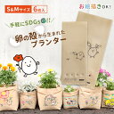 teine home フィルムプランター たまはな S&M 各3枚 計6枚セット[プランター おしゃれ 屋外 ガーデニング かわいい 軽量 菜園プランター 野菜...
