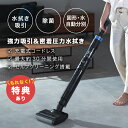 【特典あり】コードレス水拭き掃除機 ブラックホール X1 スタンダードセット SY-160[水拭き掃除機 水ぶき掃除機 水拭き 掃除機 吸引 コードレス コード...