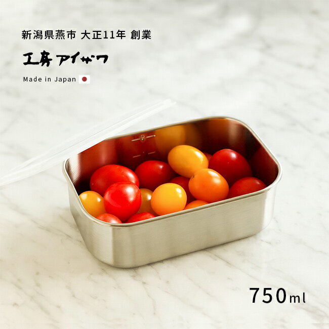 工房アイザワ ステンレス保存容器 角形 UTILE 750ml 浅型 密閉蓋 435372[ステンレス 保存容器 日本製 ..