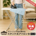 【特典あり】サイトウ・アイロン・ボード HS-06[斎藤 アイロン台 スタンド式 大きい サイズ プロ 仕様 立ったまま スタンド 高め 高さ調整 ぐらつかない...