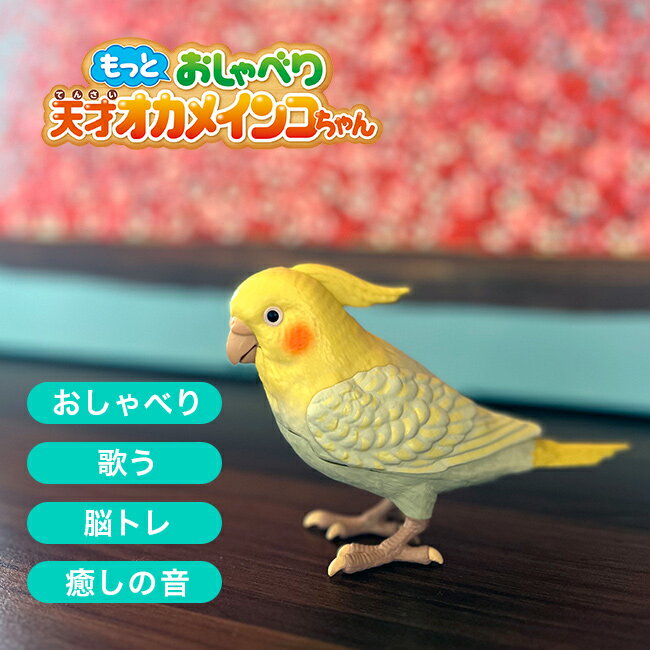【特典あり】もっとおしゃべり天才オカメインコちゃん[おしゃべり しゃべる 人形 ロボット コミュニケーション 親子 おもちゃ 玩具 大人 介護 おじいちゃん おばあちゃん お父さん おかあさん 一人暮らし] 1-2W