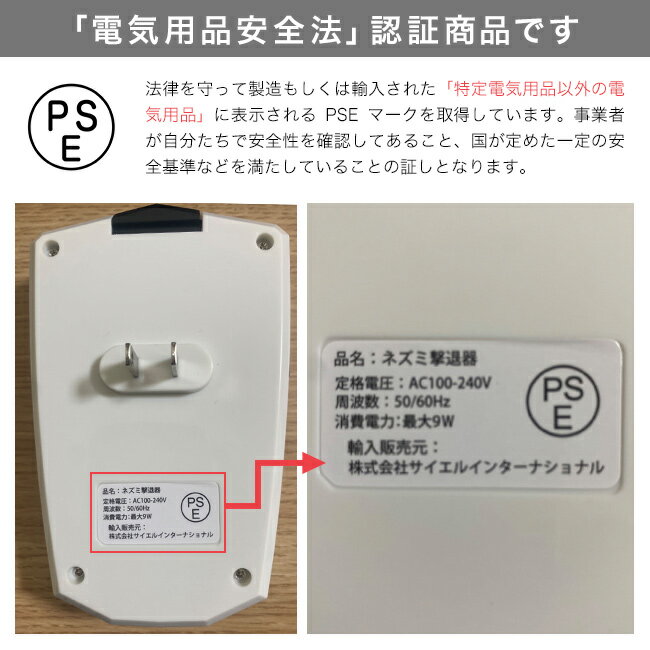 ����ŵ����ۥͥ��߷����[�ͤ��߶�� Ķ���� �ż��� ���󥻥�Ȥ˺������� �ͥ��߶���� �ͥ��߶�� �ͤ��� ���� �ͥ��� �����֥� ���� �� ���󥻥�� �������� ���󥻥�Ⱥ������� �������� ��������] ¨Ǽ