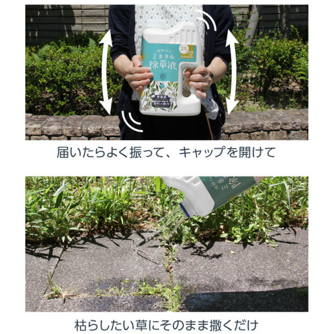 ����ŵ��������դ���Υߥͥ�����ա�2�ĥ��åȡ�[����� ������ ����� ŷ����ʬ �ڥå� �Ķ� ���� �����Ի��� ���� ���� ���� �� ���� �� ������ �����ǥ˥� �� ���� ��ʪ ��ष�� ���Ż� �����ǥ� ���� �Ի��� �Ϥ�� �Ϥ餹] ¨Ǽ