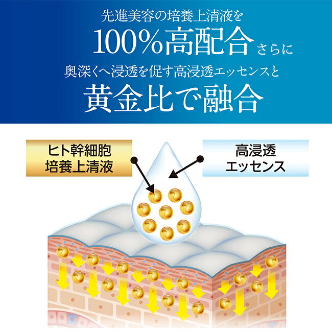 【特典あり】ニューエイジ 美容液 セリスタ 30ml[エイジングケア 幹細胞 化粧品 潤い 保湿 美容 エッセンス EGF 配合 日本製 毎日 スキンケア 美活 自分用 母親 母 ママ 20代 30代 40代 50代] 1-2W kireispot-10073708 キレイスポット サンプル画像3