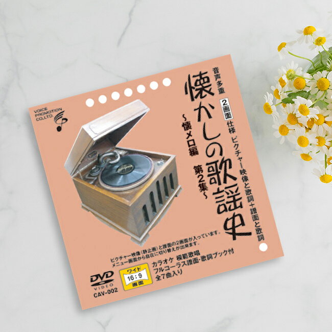 音声多重DVD 懐かしの歌謡史 懐メロ編 第2集[歌謡曲 カラオケ DVD 歌 練習 カラオケDVD 自宅 家庭 ドライブ 年末 新年会 忘年会 カラオケ大会 ...
