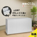 屋外ゴミ収納庫 大 幅109 1611[ゴミ箱 屋外 大容量 大型 屋外用 家庭用 日本製 大きいサイズ 外置き カラスよけ シンプル おしゃれ ごみ箱 収納ボ...