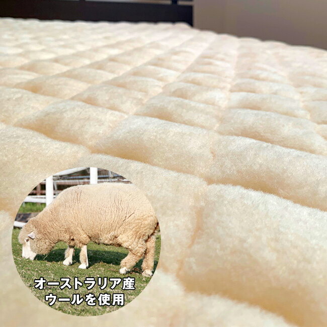 �������ȥ�ꥢ����������� ������ޥ��䡼 �ߥѥå�[�ߤ��ѥå� ���� ���󥰥� �Ȥ��� ������ ���� �� ���ä��� ɽ�� ŷ�� ������ 100�� ������100 ���� ���� OK ������ ���ߤ� ���� �դ�] 1-2W