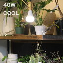 PLANTS LIGHT プランツライト 40 COOL 003381 植物育成ライト LEDライト 植物 電球 室内 家 お店 観葉植物 水耕栽培 明るさ 昼白色 リビング ダイニング ガーデニング インテリア 照明 取り付け 40W相当 交換 太陽光