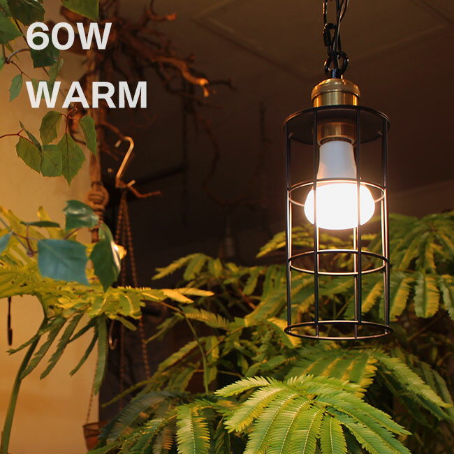 【特典あり】PLANTS LIGHT プランツライト 60 WARM 003380[植物育成ライト LEDライト 植物 電球 室内 家 お店 観葉植物 水耕栽培...