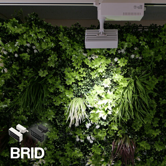 BRID LED スポットライト for プランツ 10W[植物育成ライト 植物育成LEDライト 植物 育成 ライト LEDライト 観葉植物 室内 水耕栽培 多肉植物 植物ライト 植物育成 育苗 水耕栽培ライト 野菜 冬 アクアリウム おしゃれ]