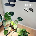 BRID LED スポットライト for プランツ 20W[植物育成ライト 植物育成LEDライト 植物 育成 ライト LEDライト 観葉植物 室内 水耕栽培 多肉植物 植物ライト 植物育成 育苗 水耕栽培ライト 野菜 冬 アクアリウム おしゃれ]