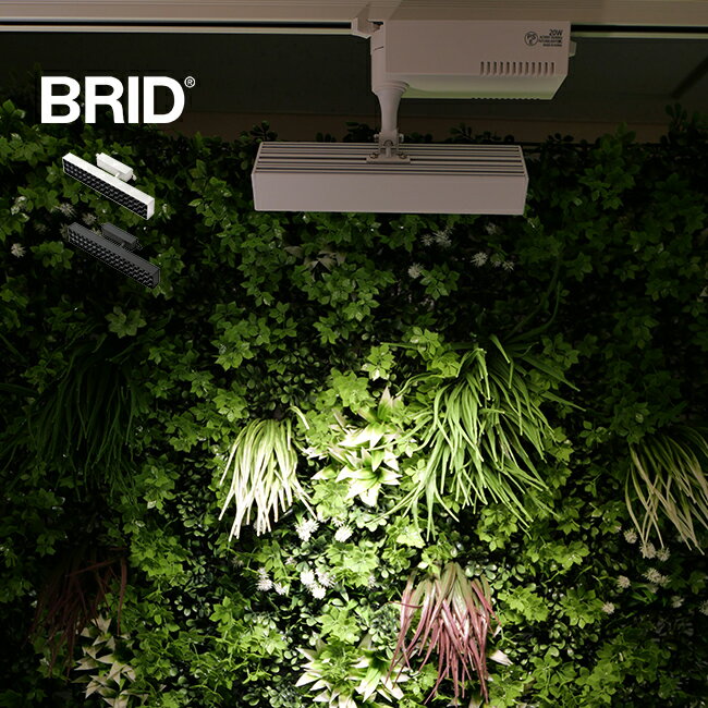 BRID LED スポットライト for プランツ 30W[植物育成ライト 植物育成LEDライト 植物 育成 ライト LEDライト 観葉植物 室内 水耕栽培 多肉植物 植物ライト 植物育成 育苗 水耕栽培ライト 野菜 冬 アクアリウム おしゃれ]