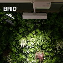 BRID LED スポットライト for プランツ 30W[植物育成ライト 植物育成LEDライト 植物 育成 ライト LEDライト 観葉植物 室内 水耕栽培 多肉植物 植物ライト 植物育成 育苗 水耕栽培ライト 野菜 冬 アクアリウム おしゃれ]