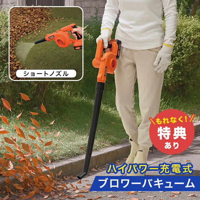 ŵۥեߥ żɥ쥹2WAY֥[ݽ  Х塼ൡ ֥   Х塼 ֥Х塼  е...