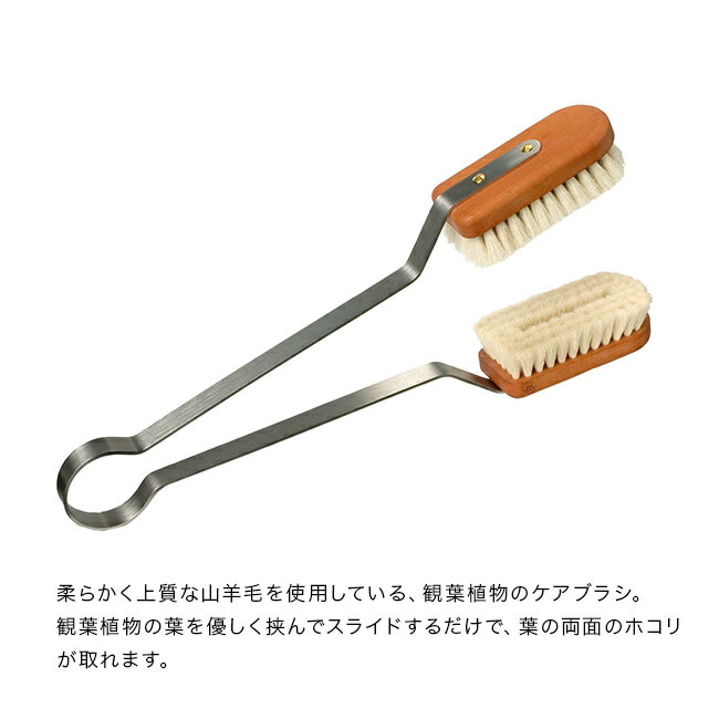 【特典あり】REDECKER レデッカー リーフブラシ 山羊毛 re460135[観葉植物 葉 手入...