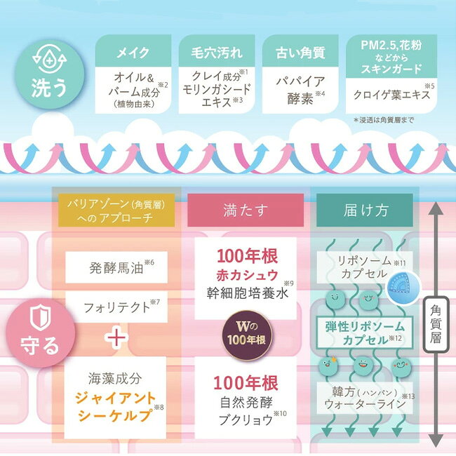 【特典あり】サイムダン プレミアム ステム モイスチャー クレンズ リッチ ウォッシュ 150ml 716916[メイク落とし 洗顔 クレンジング 韓国化粧品 メイク 毛穴汚れ 洗う スキンケア 美容 化粧落とし シンプル クリーム うるおい 保湿 韓国コスメ] 即納 kireispot-10070996 キレイスポット サンプル画像3