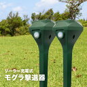 SaiEL ソーラー充電式 モグラ撃退器 2本セット[充電式 コードレス もぐら撃退器 モグラ撃退機 もぐら 害獣 被害 モグラ 対策 もぐら撃退機 家庭用 自...