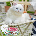 【レビュー特典あり】しっぽふりふり あまえんぼう ねこちゃん[おもちゃ オモチャ 玩具 ぬいぐるみ 人形 電子玩具 電子おもちゃ 電子ペット ペットロボット ネ...