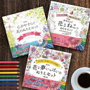 新装版 ぬりえセット《3セット》[ぬりえ 花 猫 植物 大人 子ども イラスト かわいい おしゃれ シンプル 模様 色鉛筆 冊子 趣味 ホビー 夢中 集中 色 ...