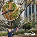【レビュー特典あり】シャークソー 高枝のこぎり 1.3m[高枝切り のこぎり 高枝 伸縮タイプ 2WAY ハンディ 園芸 庭仕事 ガーデニング 手動 木材 枝 ...
