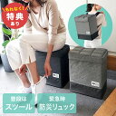 【特典あり】座れる防災バッグ COGIT コジット[防災バッグ 座れる 座れる防災リュック 防災リュック 防災 バッグ リュック 椅子 イス 単品 防水 災害対...