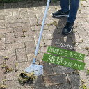 隙間雑草除去 ザクっとトレール[雑草 ぬき 道具 草刈り 雑草抜き 立っ た まま 雑草取り 抜き ツール 草 を 刈る くさ 取り 庭 通学路 歩道 コンクリ...