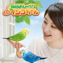 S10◆TAKARA TOMY タカラトミー 毎日おしゃべり天才インコちゃん[おしゃべりインコ おもちゃ おしゃべりおもちゃ おしゃべり玩具 おしゃべりロボット 会話ロボット 高齢者 おしゃべり お喋り 喋る 歌う 玩具 脳トレ おじいちゃん おばあちゃん]