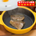 電子レンジ用調理器 レンジグリルパン[魚焼き器 電子レンジ 焼き魚 調理器具 魚焼 魚 焼き 焦げ目 電子レンジ調理器 焼く レンジで焼き魚 レンジ調理器 レン...