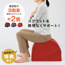 【特典あり】ワイドスクワットホッパー 0070-4139[エクササイズ クッション スクワット スクワットマシン 太もも お尻 お腹 背中 筋肉 足腰 鍛える ...