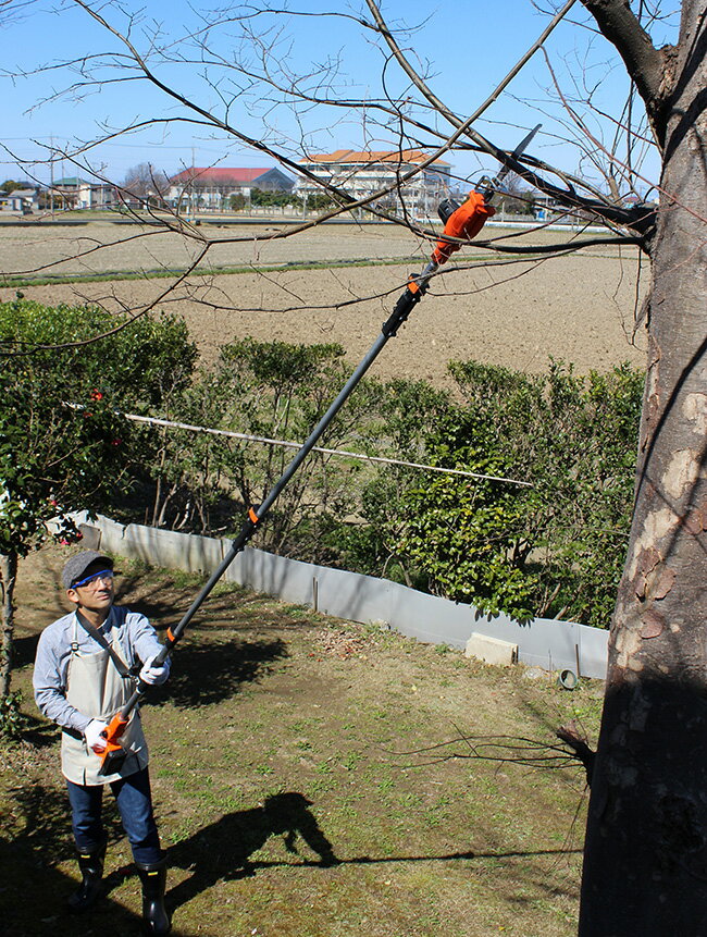 ����ŵ����������� �䡼�ɥե����� 24V 3m �����ɥ쥹 �����ư�Τ����� �饤�� YARD FORCE[��ư�Τ����� ���ż� ���� ������ ���� ��ư�Υ����� ��� �� ���� ƻ�� �����ɥ쥹 ���� ��ñ ���ż��Τ����� ���� �����ư�Υ����� ���ڤ�Υ�����] ¨Ǽ