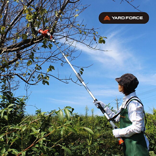 YARD FORCE ヤードフォース 12V コードレス 高枝電動2WAYのこぎり[家庭用 高枝ノコギリ 高枝切り 電動 のこぎり 高枝のこぎり 高い 枝 植木...