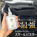 動画あり【新発売】スケールバスター【RAIN BUSTER】スケール除去剤 黒ずみ 安心 メンテナンス 洗浄剤 クリーナー 汚れ 水アカ 雨ジミ ウォータースポット イオンデポジット